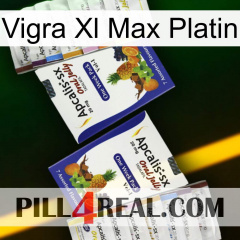 Vigra Xl Max Platinum 12